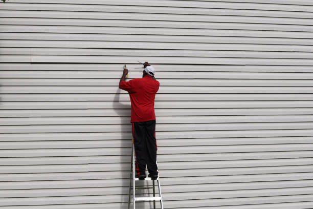 Affordable Siding Repair and Maintenance Services in Dunkirk, NY